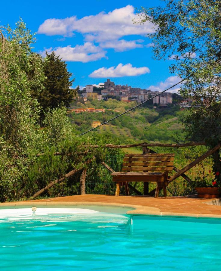 Agriturismomillefiori Manciano Ngoại thất bức ảnh
